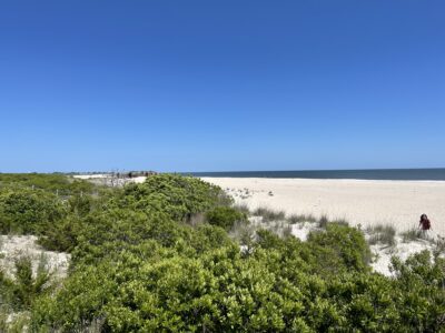 a person walking on a beach (MyCoast AI)