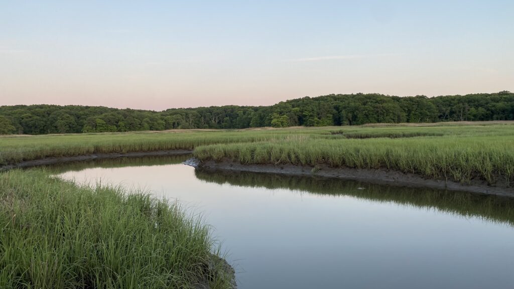 a body of water with grass and trees around it (MyCoast AI)