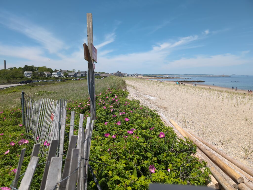 a fence on a beach (MyCoast AI)