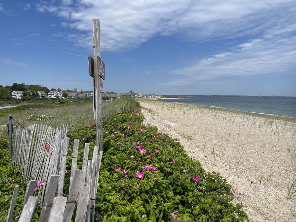 a fence on a beach (MyCoast AI)