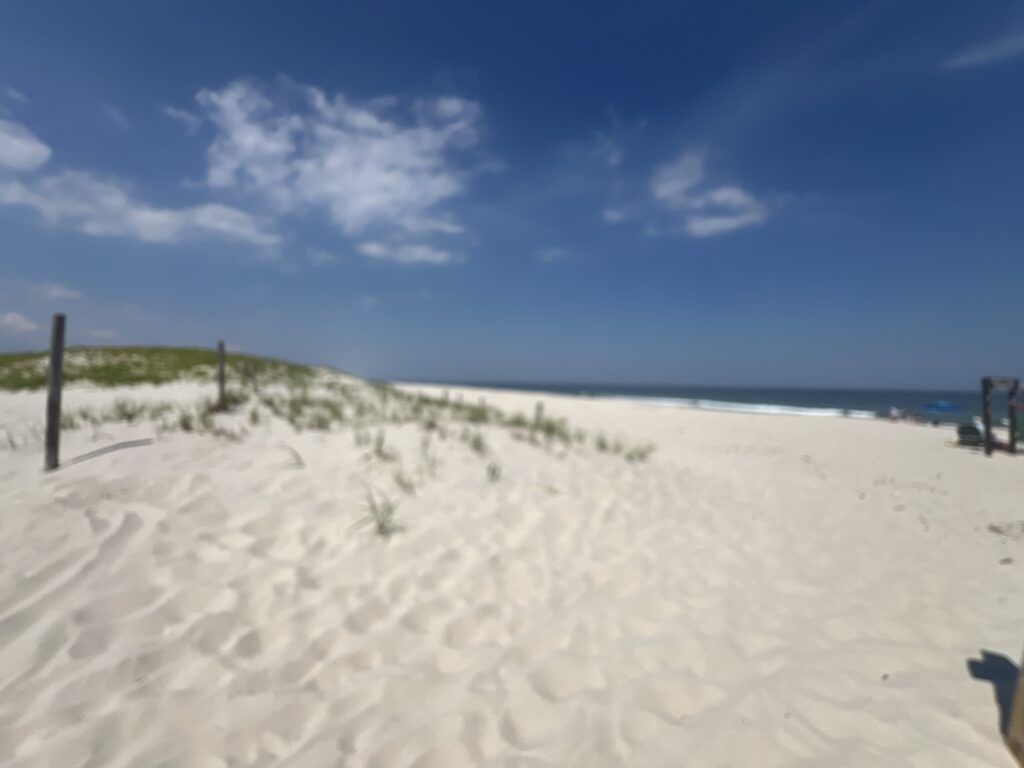 a sandy beach with a fence (MyCoast AI)
