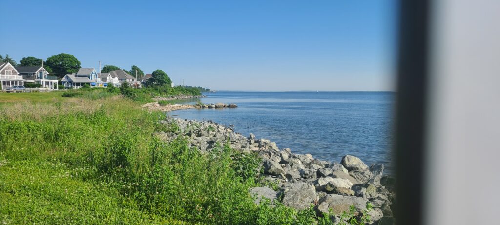 a view of a body of water and houses from a cliff (MyCoast AI)