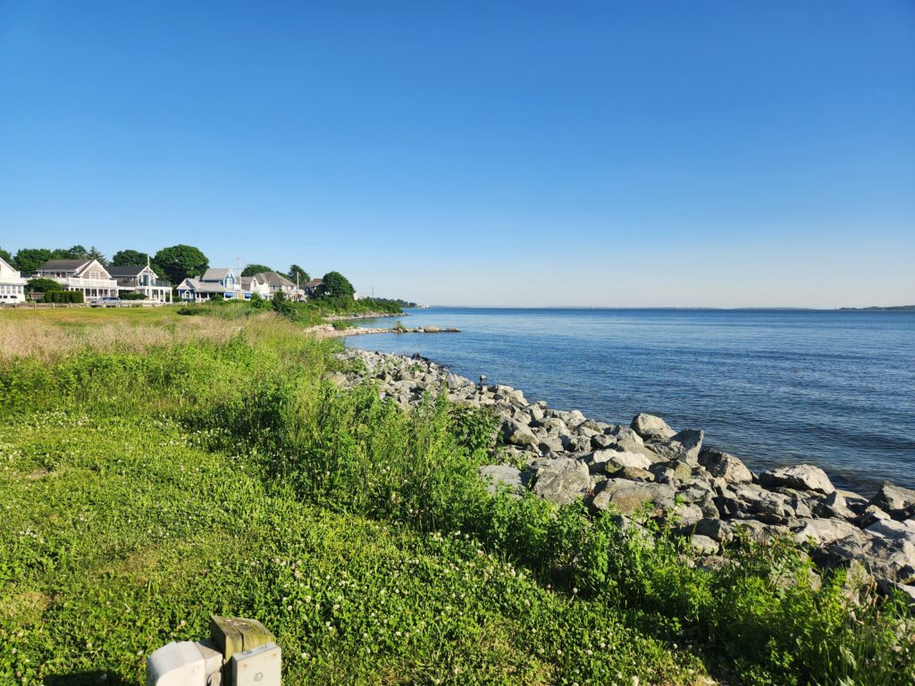 a grassy area next to a body of water (MyCoast AI)