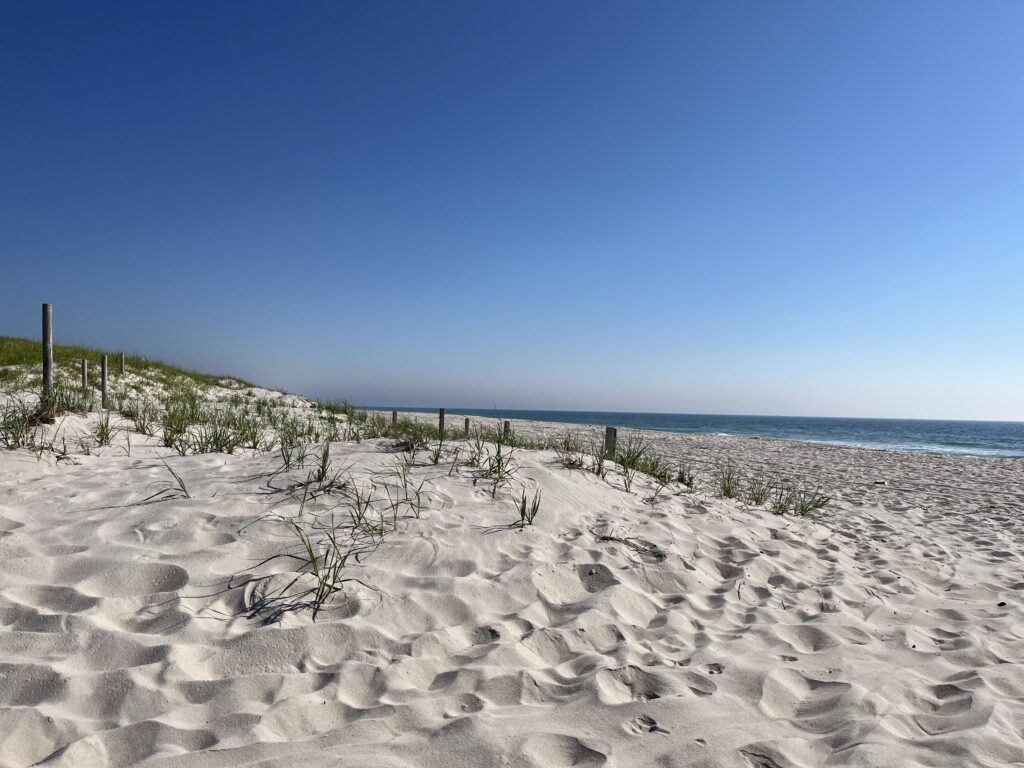 a sandy beach with bushes and trees (MyCoast AI)