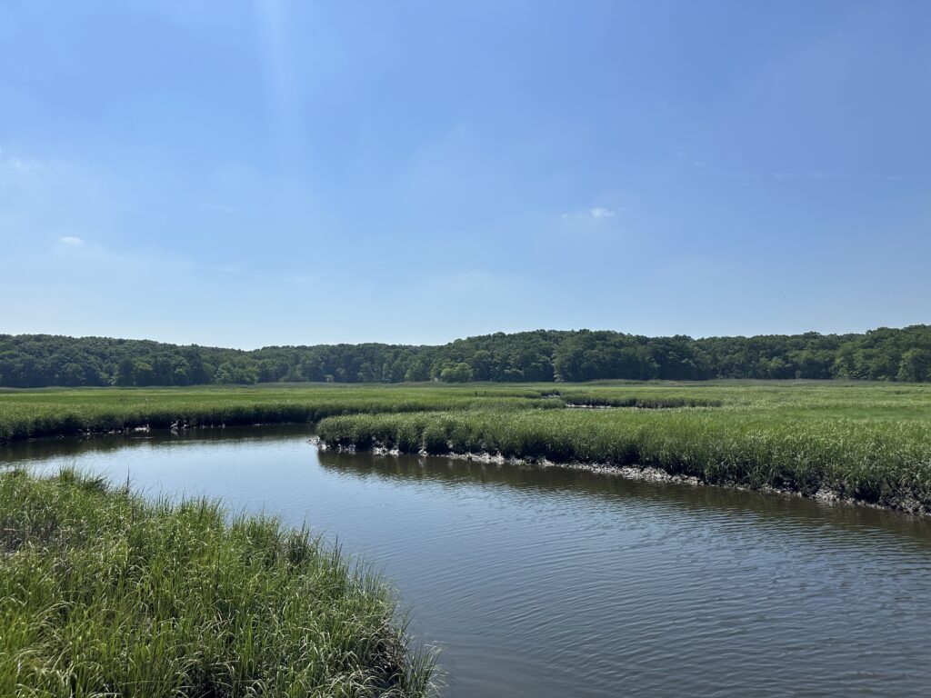 a body of water with grass and trees around it (MyCoast AI)