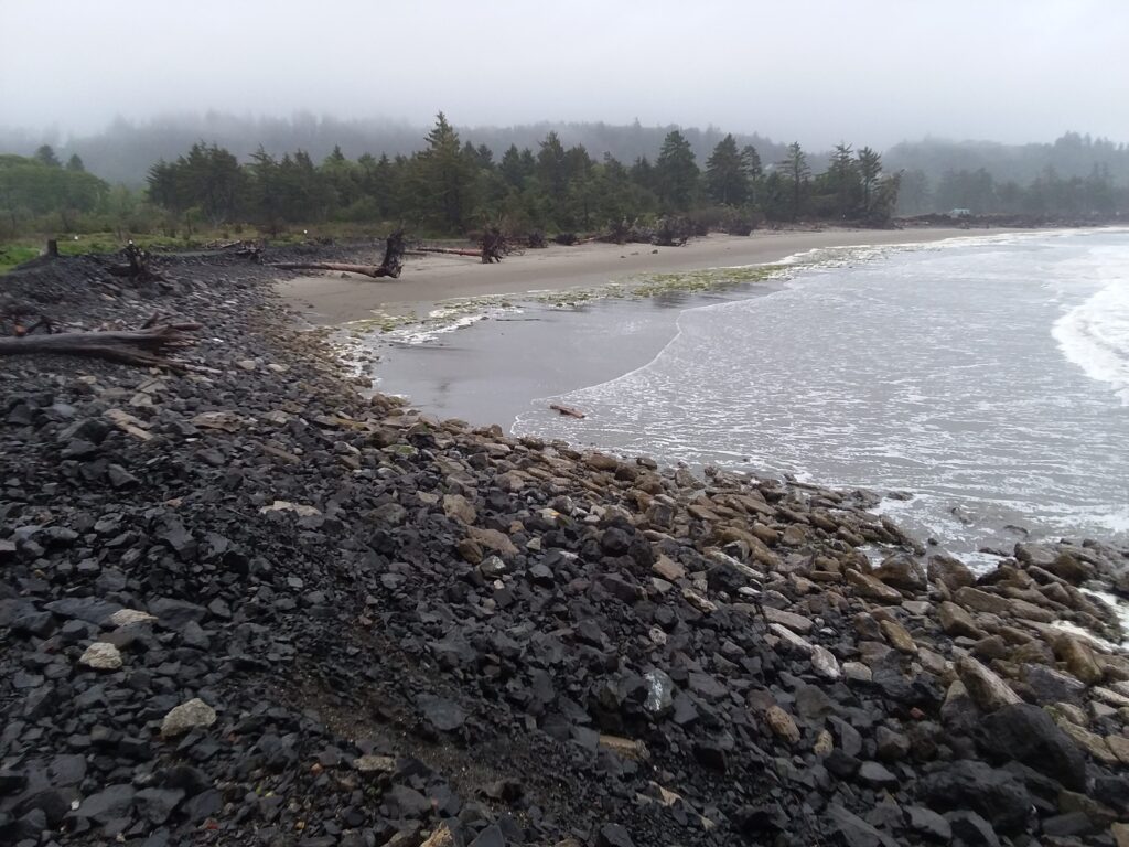 a rocky beach with a body of water and trees in the background (MyCoast AI)