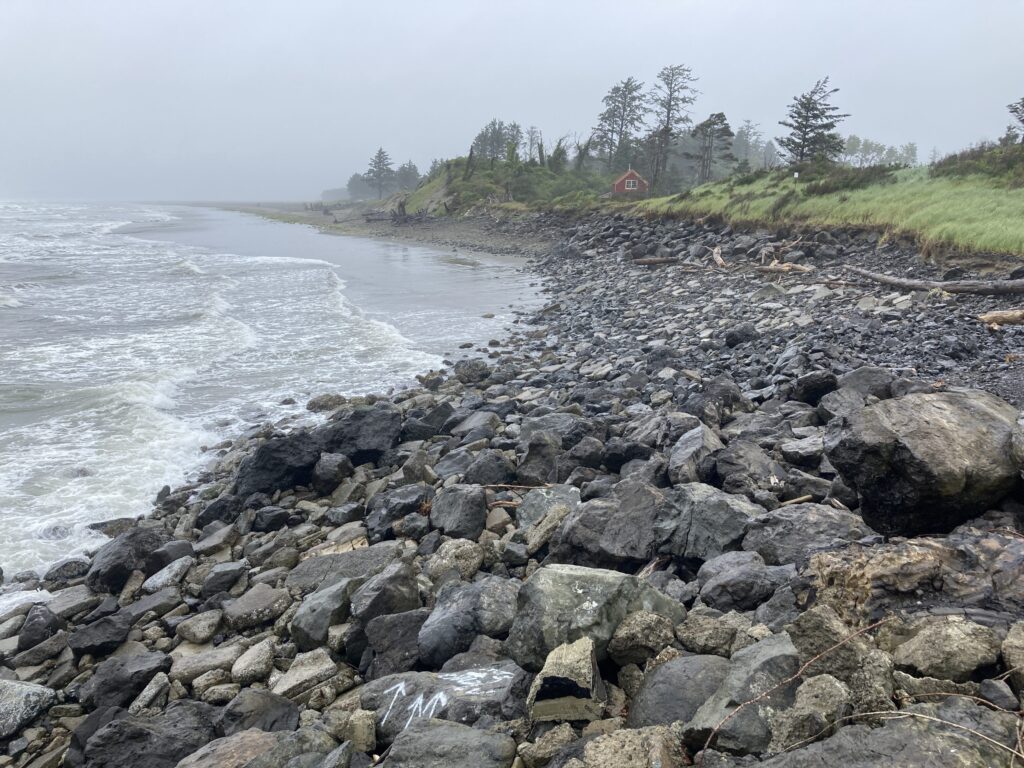 a rocky beach with trees and grass (MyCoast AI)