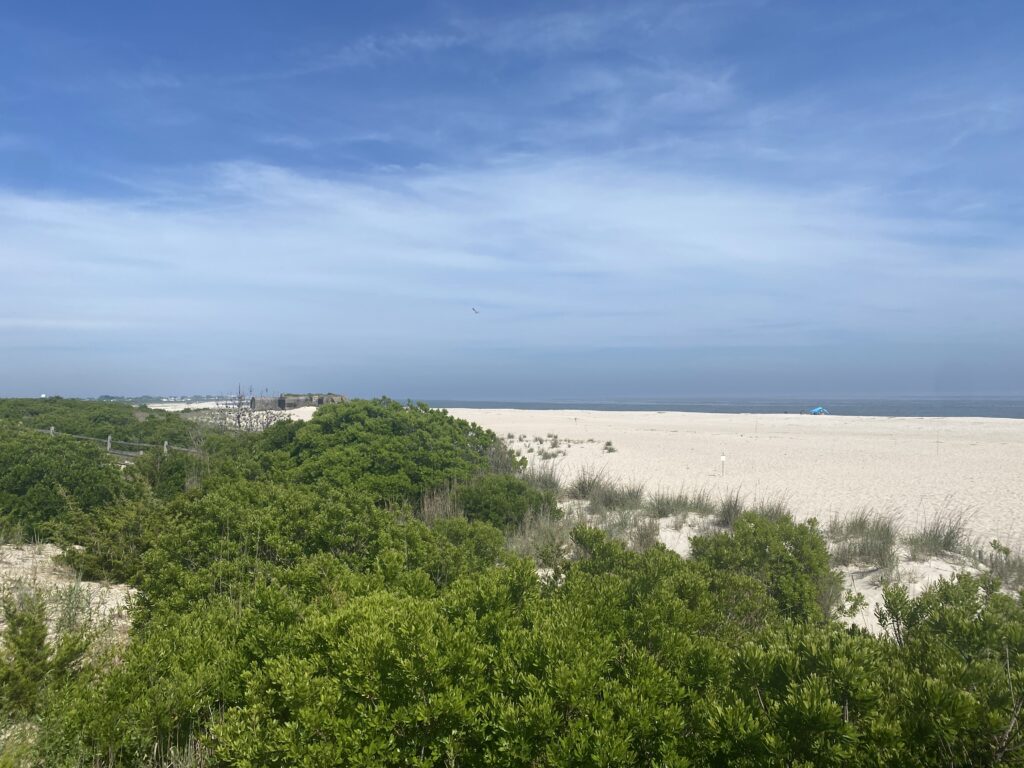 a beach with trees and bushes (MyCoast AI)