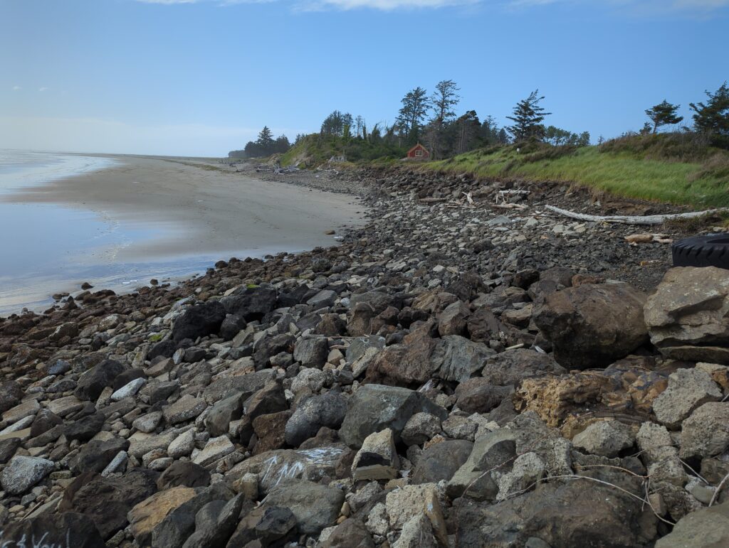 a rocky beach with trees and water (MyCoast AI)