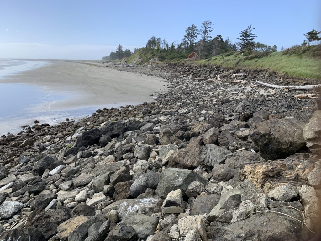a rocky beach with trees and water (MyCoast AI)