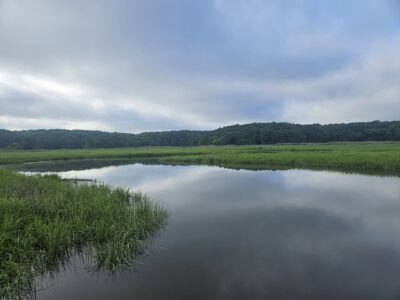 a body of water with grass and trees around it (MyCoast AI)