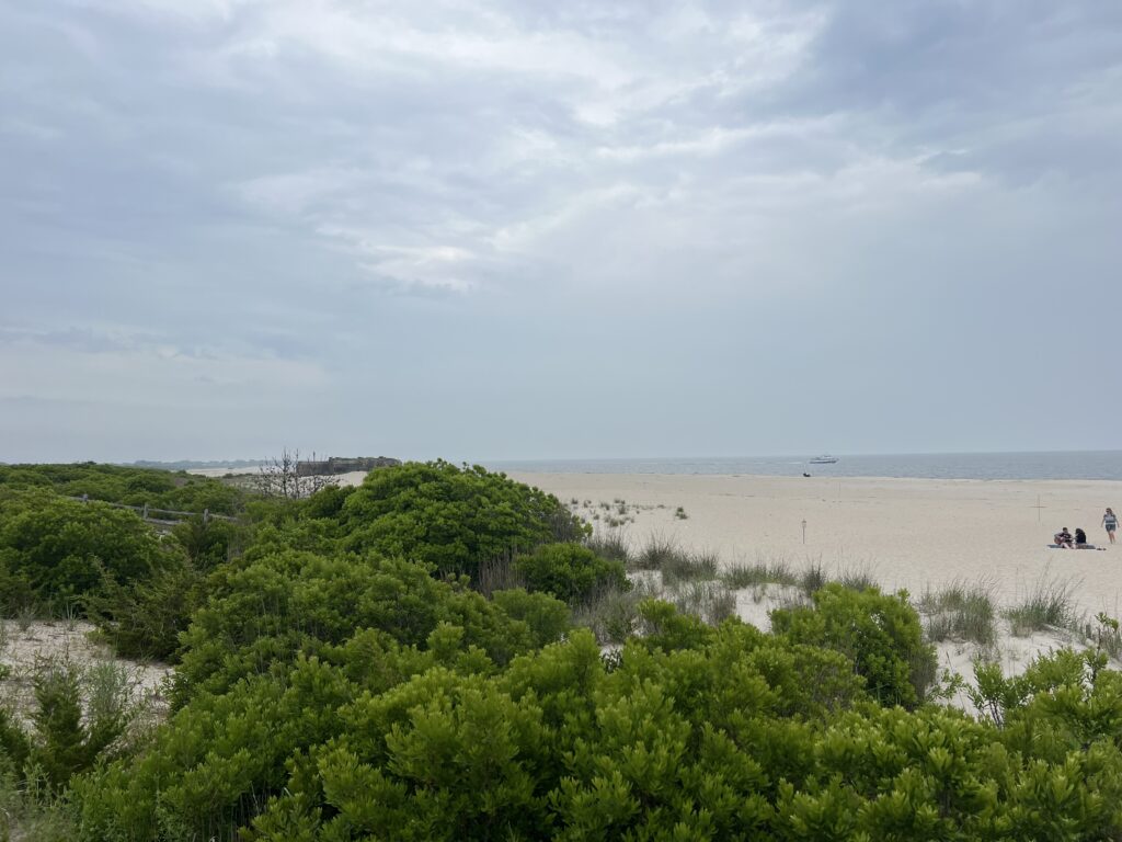 a beach with trees and bushes (MyCoast AI)