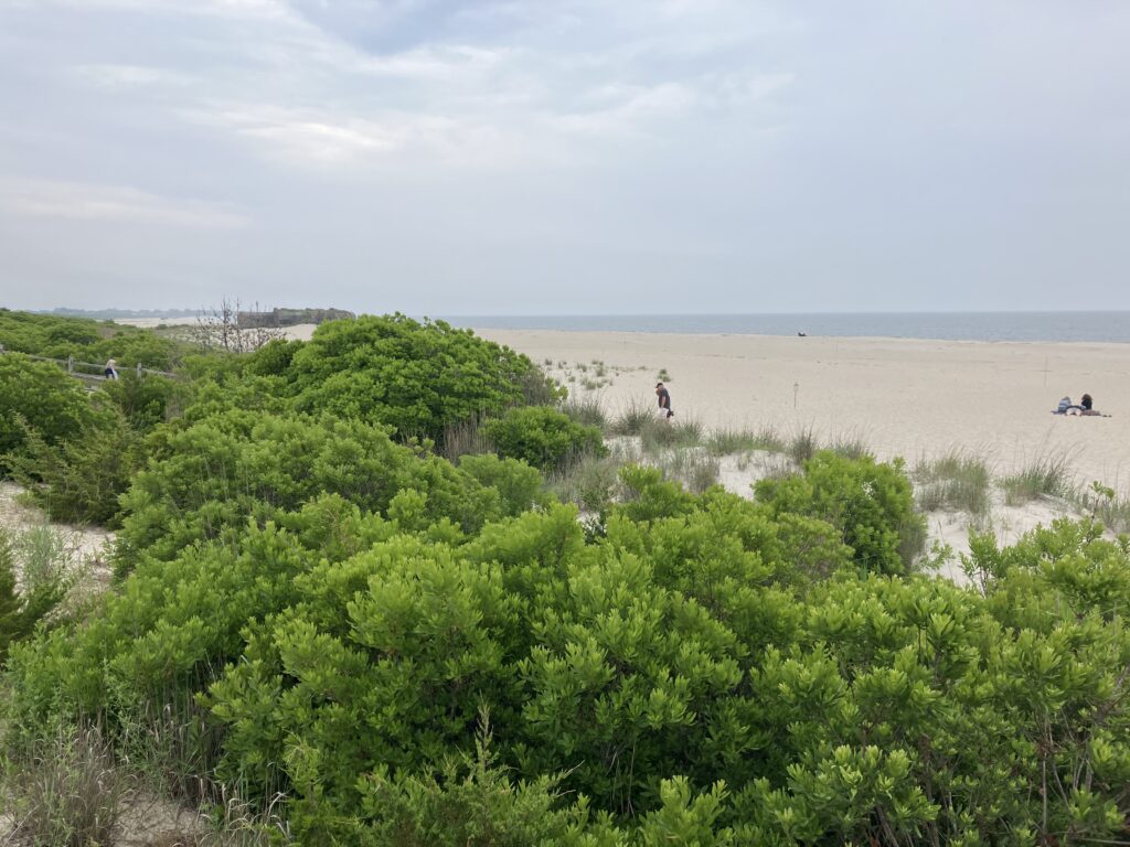 a person walking in a field (MyCoast AI)