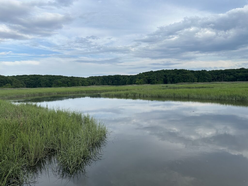 a body of water with grass and trees in the background (MyCoast AI)