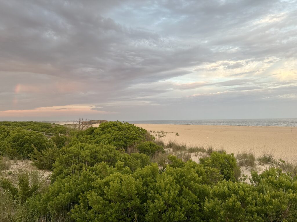 a landscape with trees and bushes (MyCoast AI)