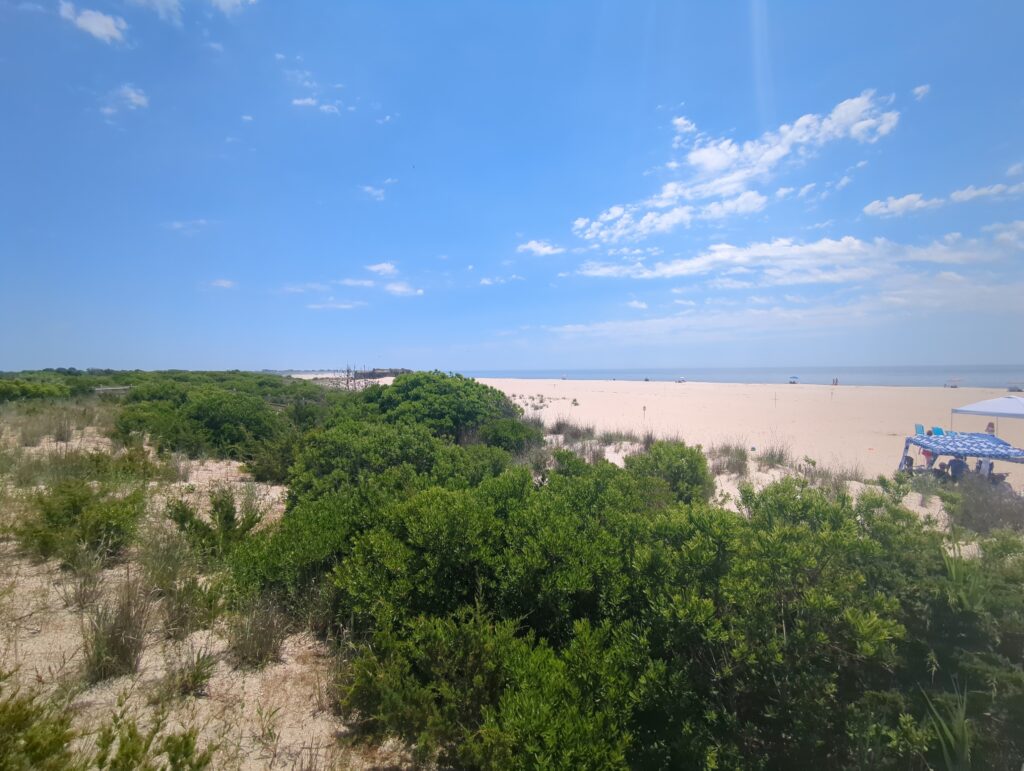 a landscape with trees and bushes (MyCoast AI)