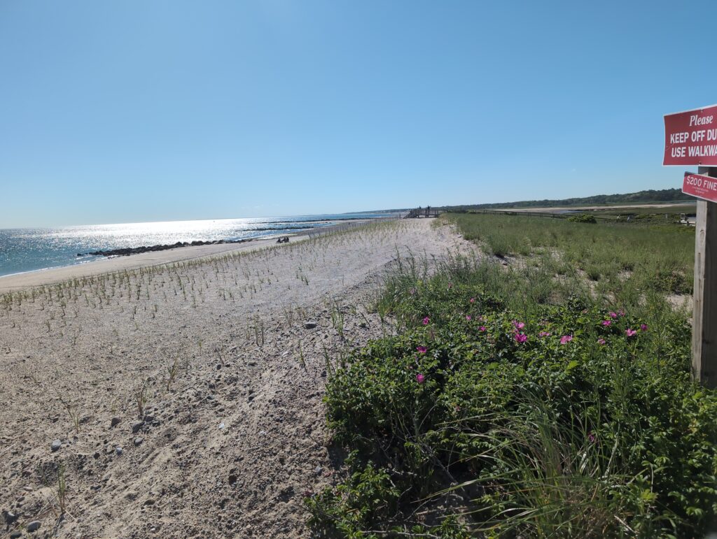 a beach with a sign (MyCoast AI)