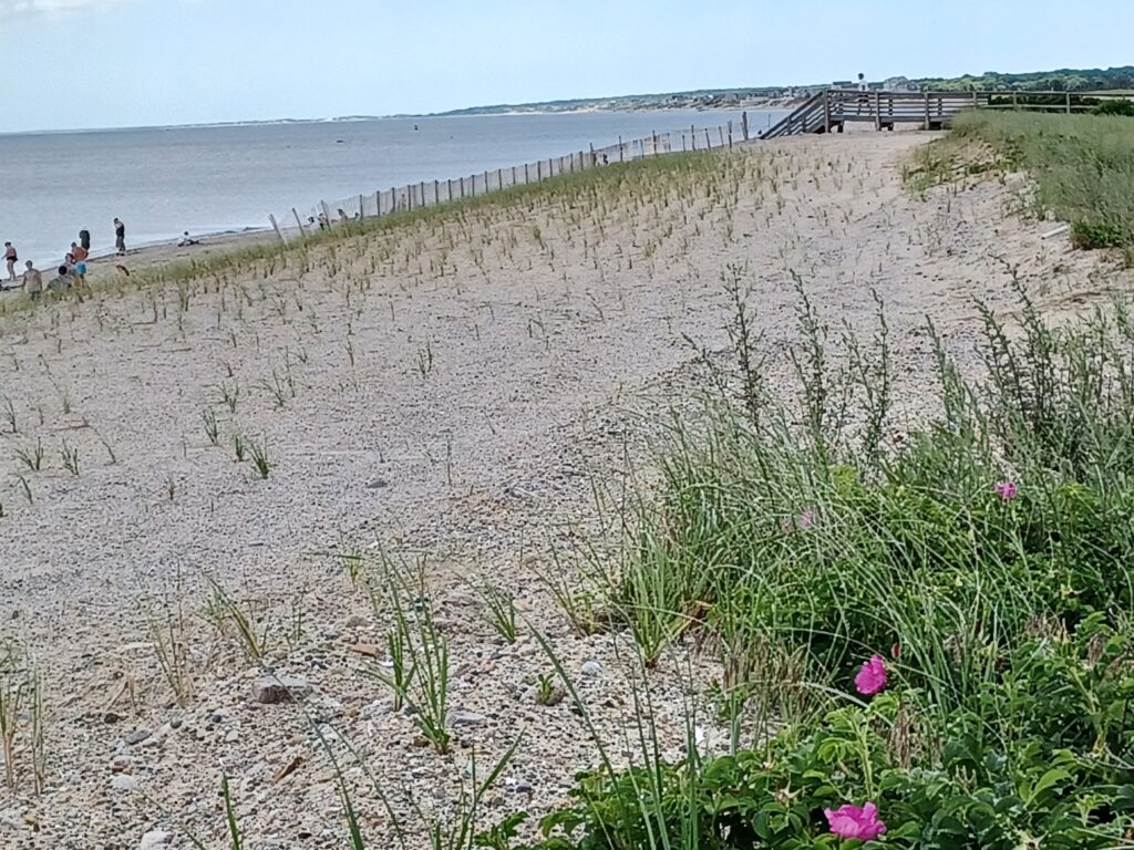 a beach with people walking on it (MyCoast AI)