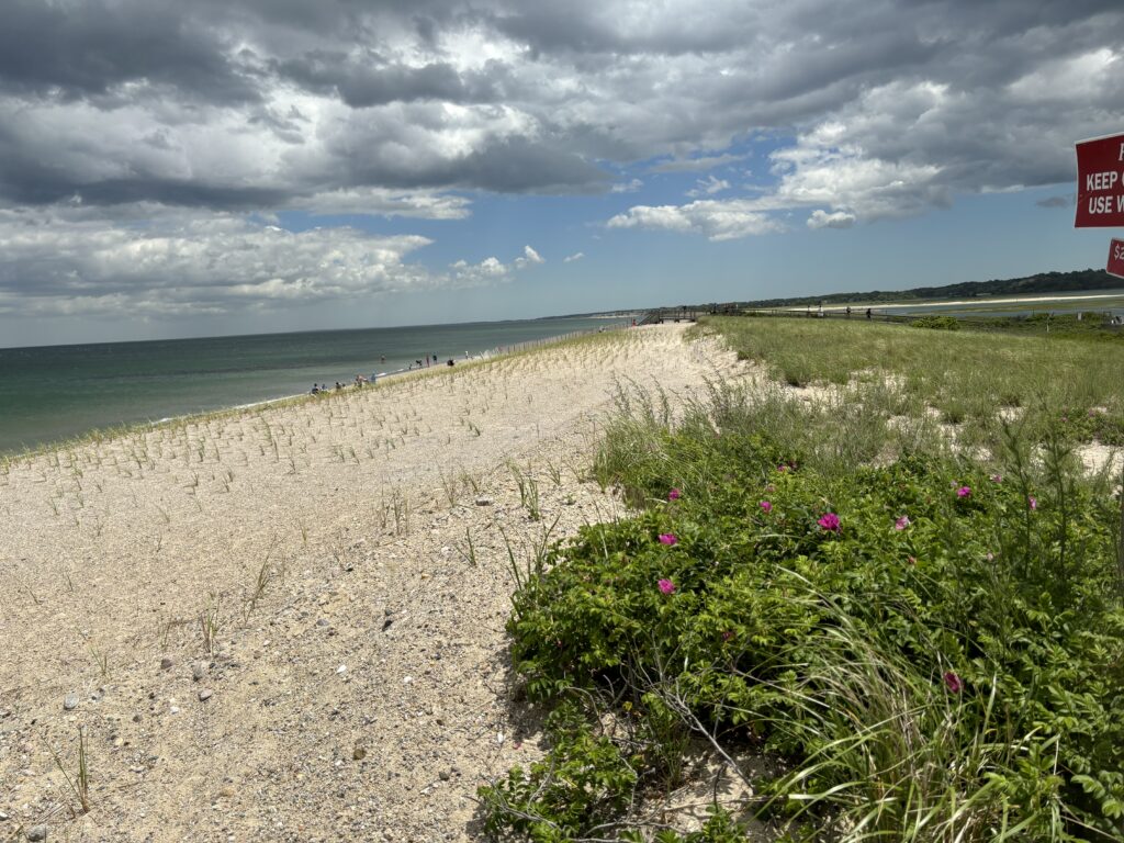 a beach with people on it (MyCoast AI)