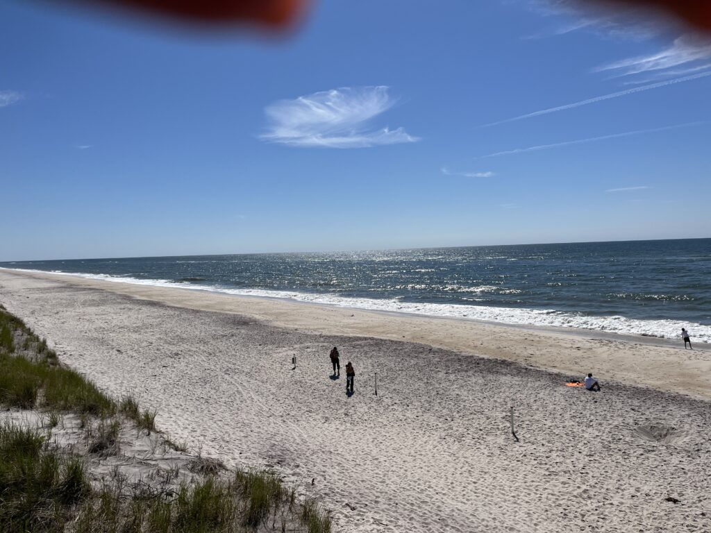 people on a beach (MyCoast AI)