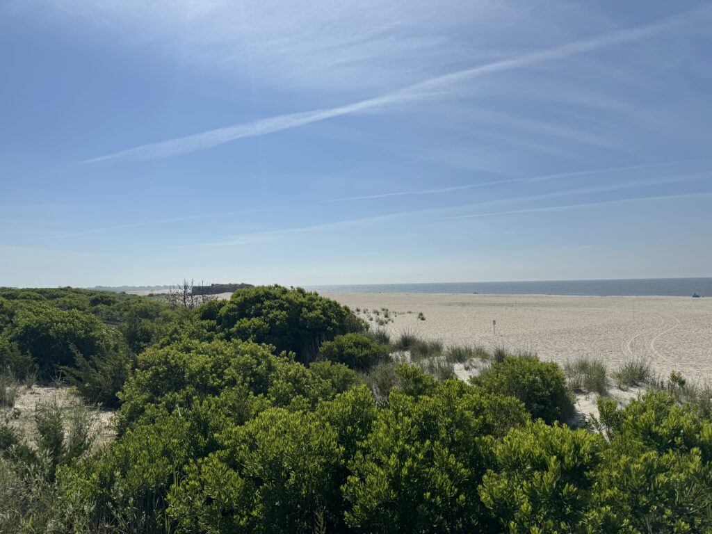 a landscape with trees and a blue sky (MyCoast AI)