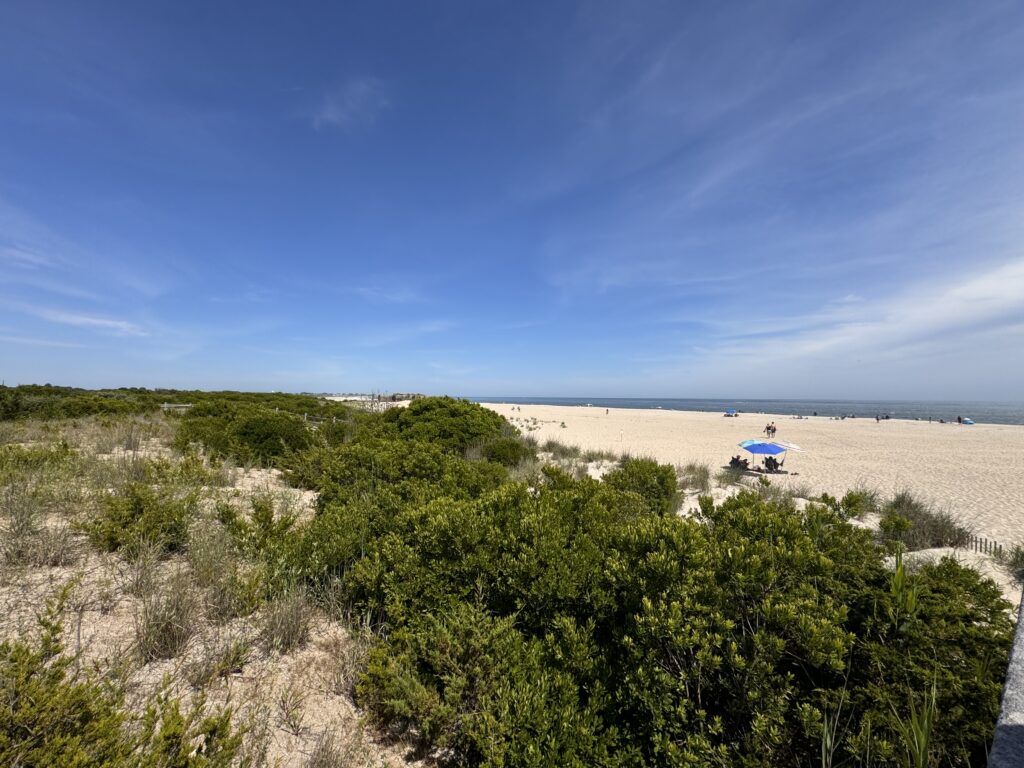 a sandy beach with bushes and trees (MyCoast AI)