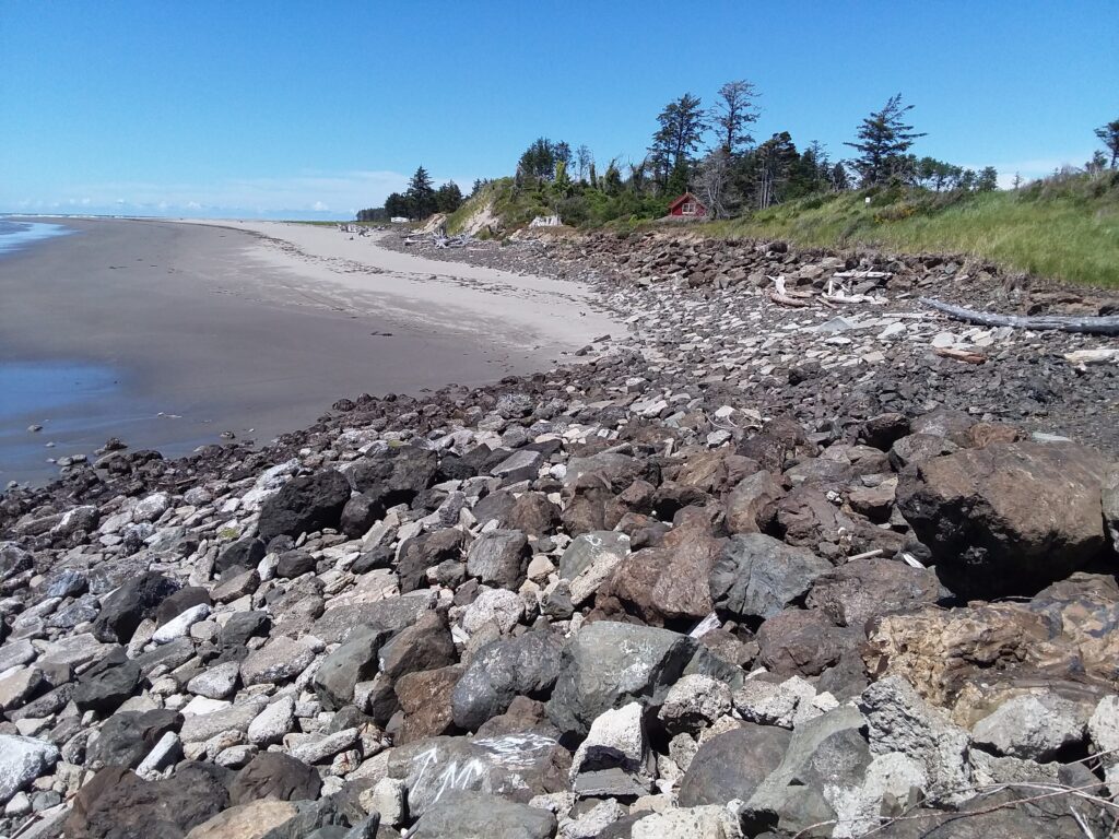 a rocky beach with a body of water and trees in the background (MyCoast AI)