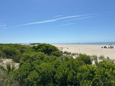 a beach with trees and people (MyCoast AI)