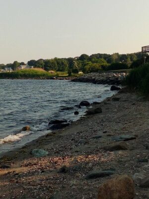 a rocky beach with trees in the background (MyCoast AI)