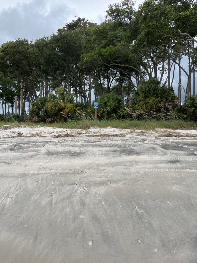 a road with trees on the side (MyCoast AI)