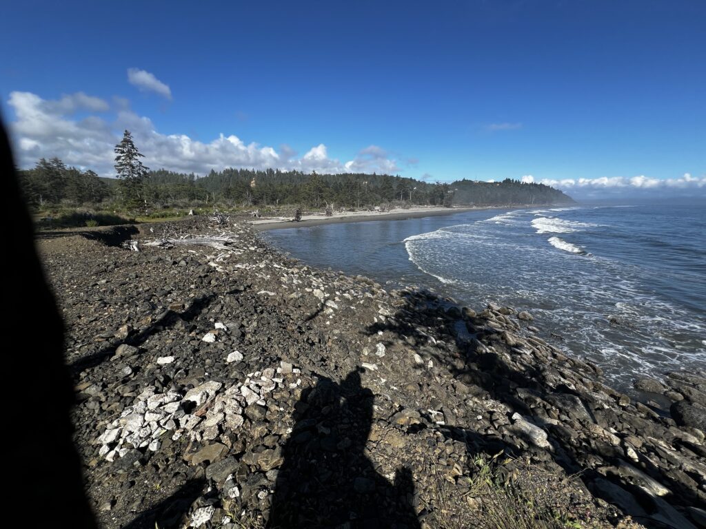 a rocky beach with trees and blue sky (MyCoast AI)
