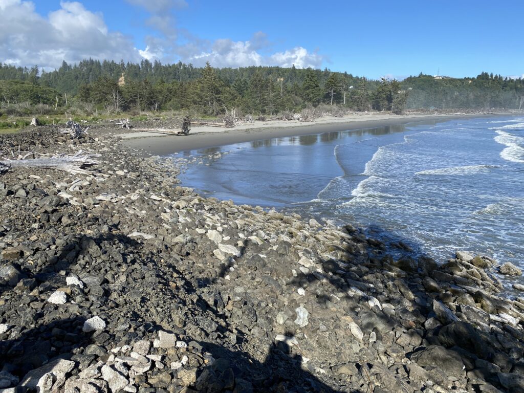 a rocky beach with trees in the background (MyCoast AI)