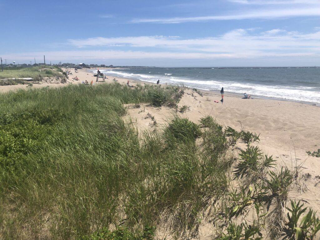 a beach with people walking on it (MyCoast AI)