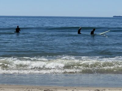 surfers riding waves in ocean (MyCoast AI)