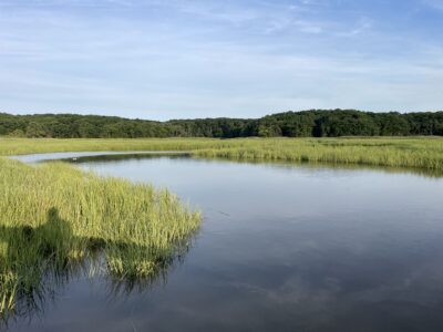 a body of water with grass and trees around it (MyCoast AI)