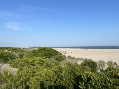 a sandy beach with trees (MyCoast AI)