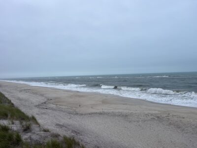 a beach with waves crashing on it (MyCoast AI)
