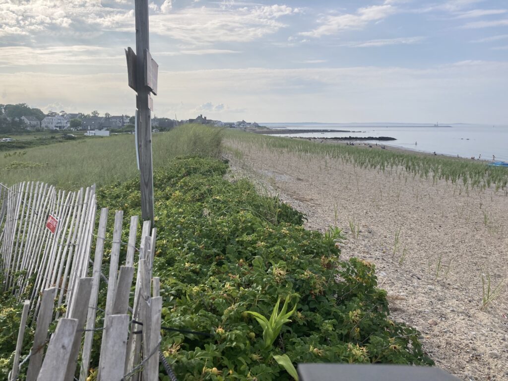a fence on a beach (MyCoast AI)