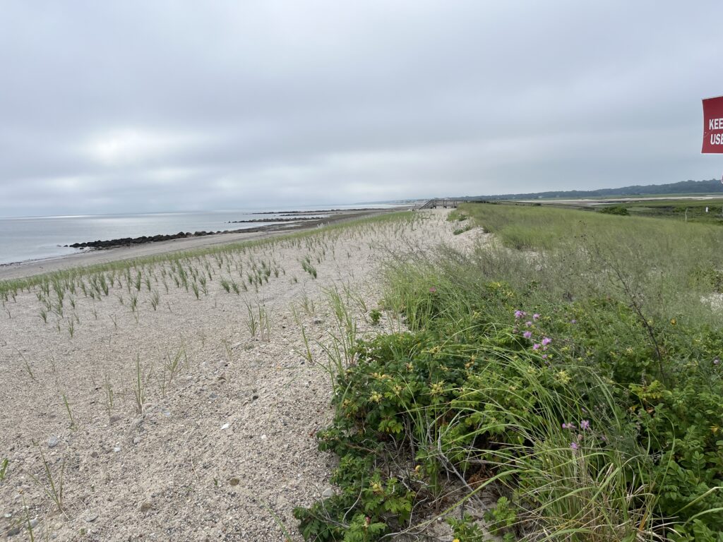 a dirt road next to a beach (MyCoast AI)