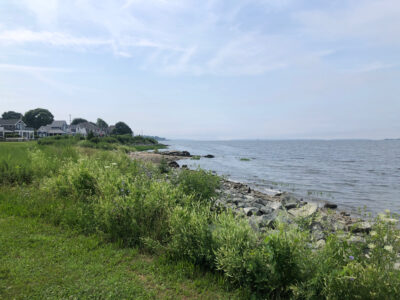 a body of water with grass and rocks by it (MyCoast AI)