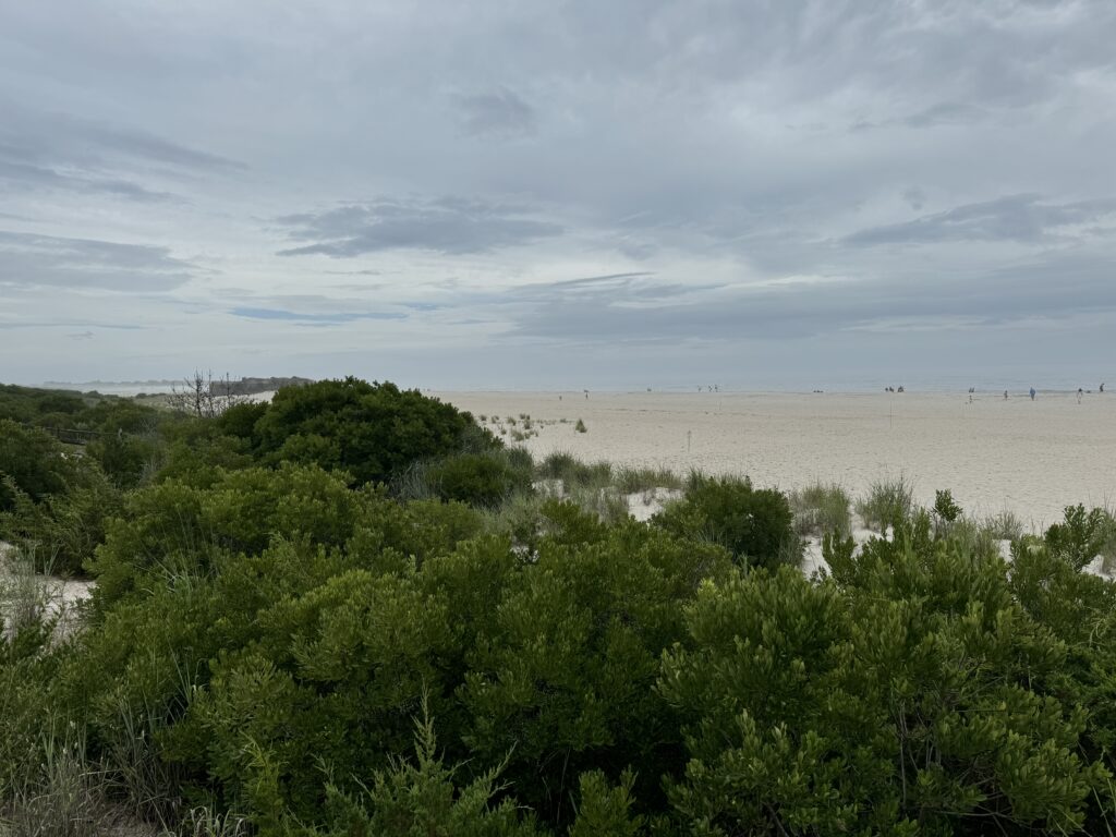 a landscape with trees and water (MyCoast AI)