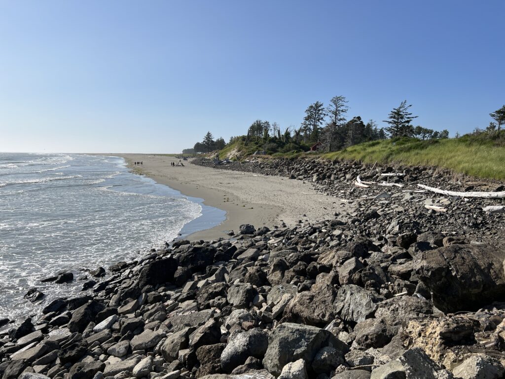 a rocky beach with trees and water (MyCoast AI)