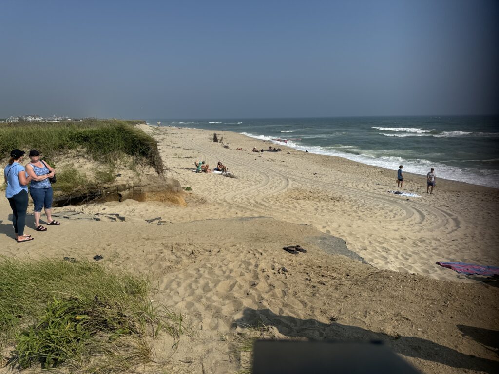 people on a beach (MyCoast AI)