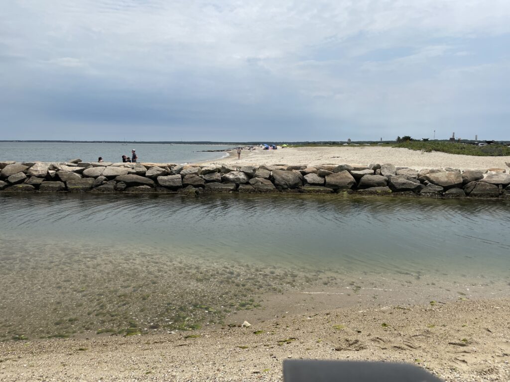a body of water with rocks and a beach in the background (MyCoast AI)