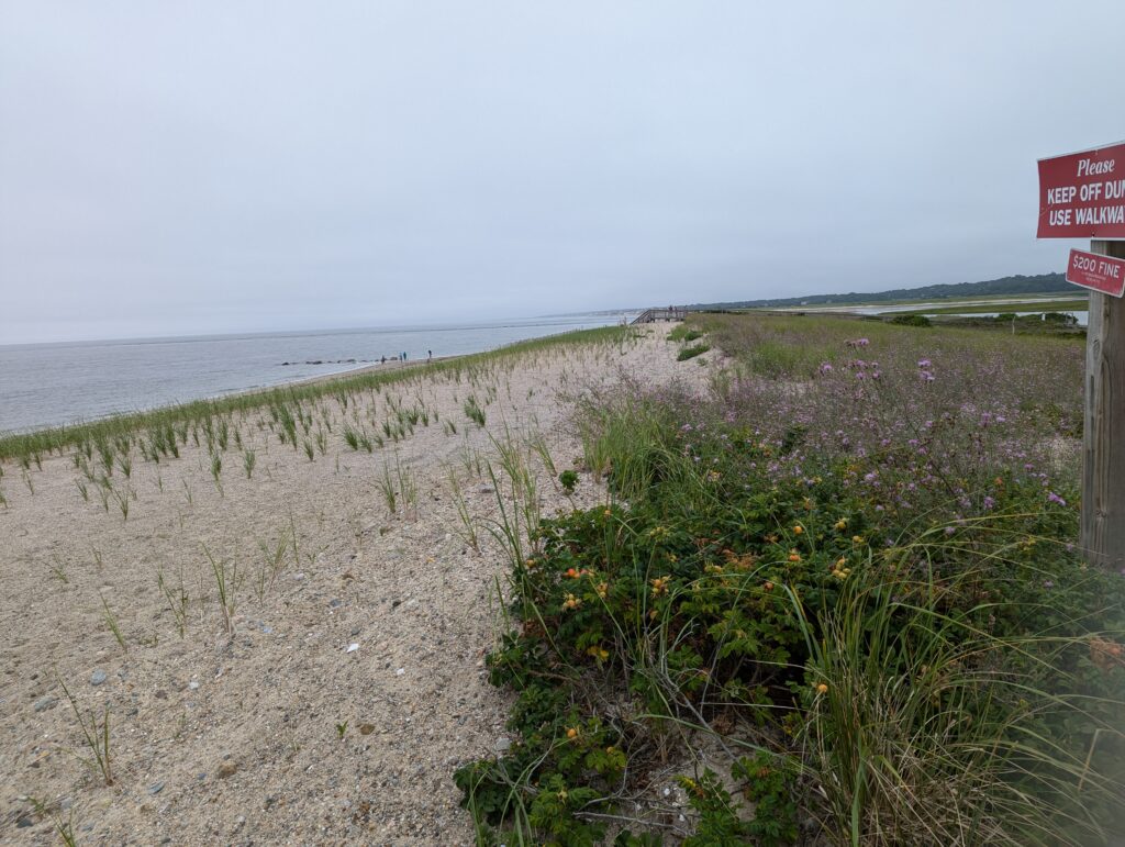 a beach with plants and a sign (MyCoast AI)