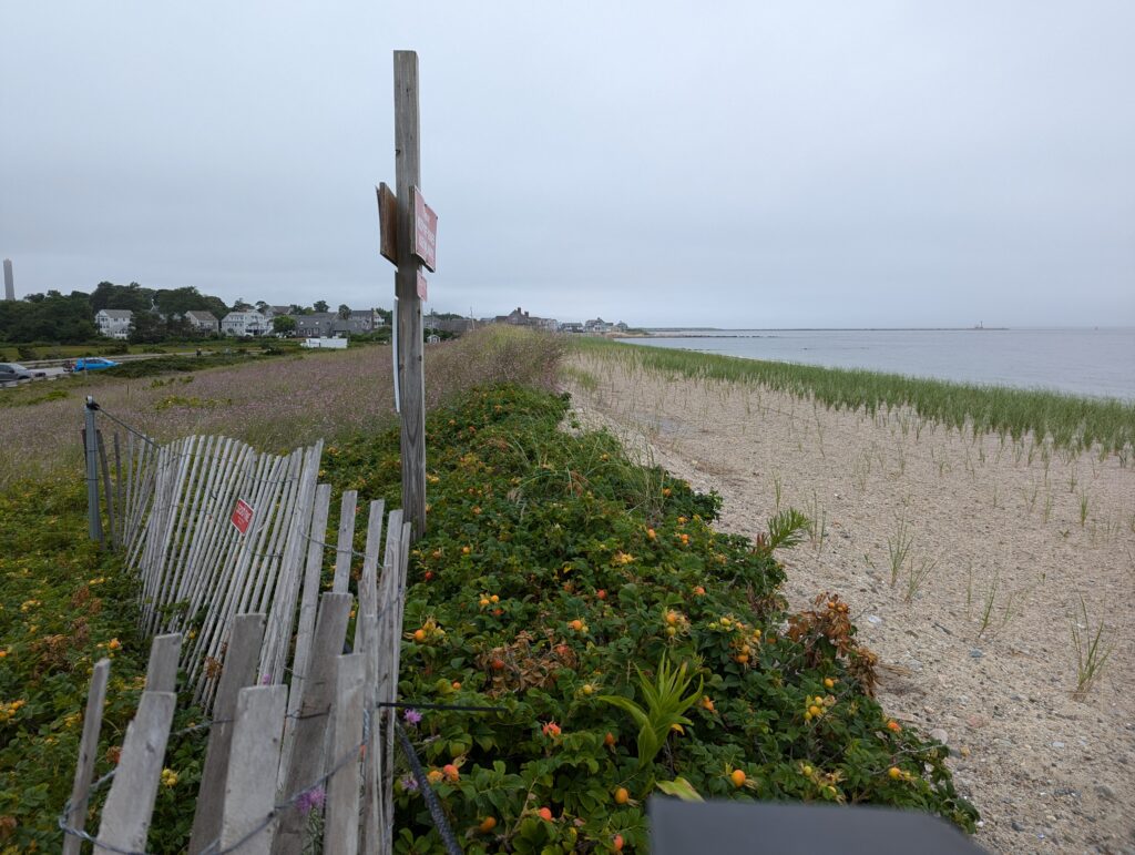 a wooden fence next to a beach (MyCoast AI)