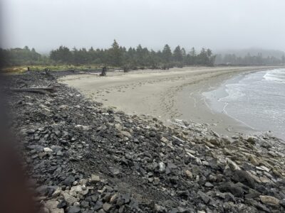 a rocky beach with a body of water and trees in the background (MyCoast AI)