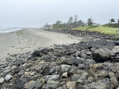 a rocky beach with grass and trees (MyCoast AI)