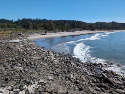 a rocky beach with trees in the background (MyCoast AI)