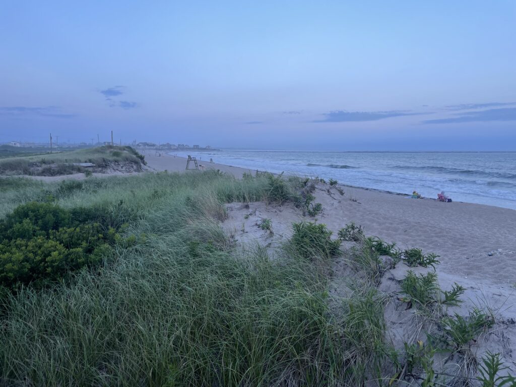 a beach with grass and water (MyCoast AI)